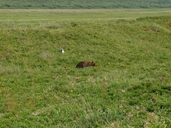 20250512-02.jpg